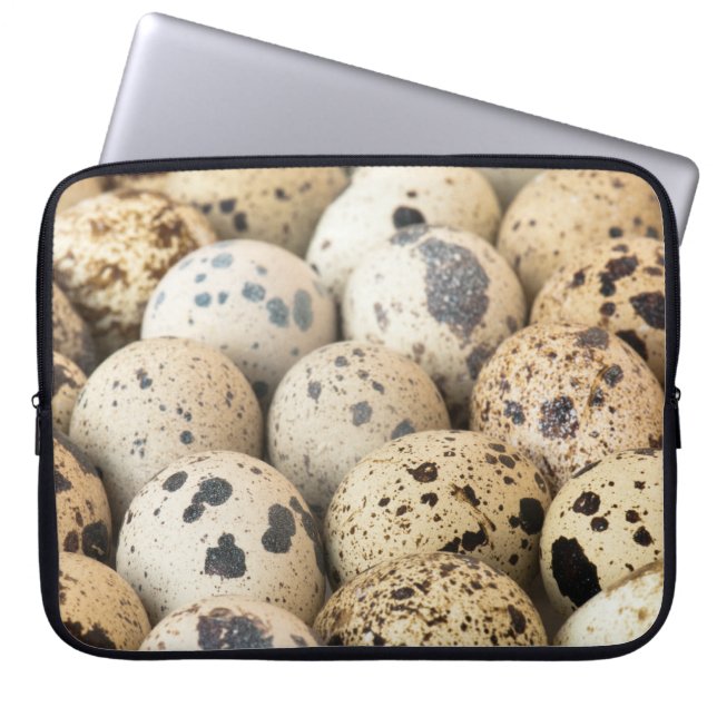 Quail Eggs Laptop Sleeve (Front)