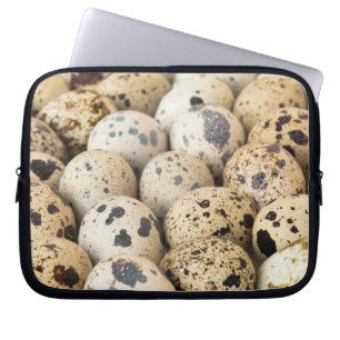 Quail Eggs Laptop Sleeve
