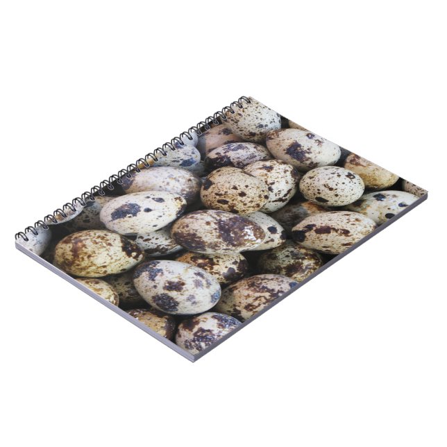 Quail Eggs Notebook (Left Side)