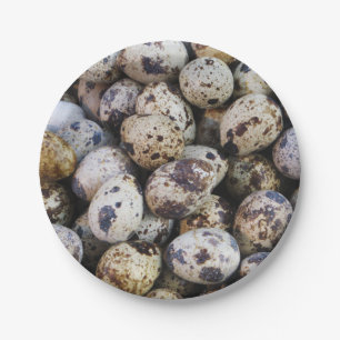 Quail Eggs Paper Plate