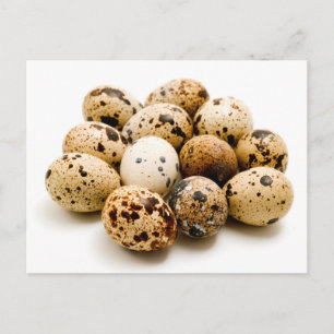 Quail eggs postcard