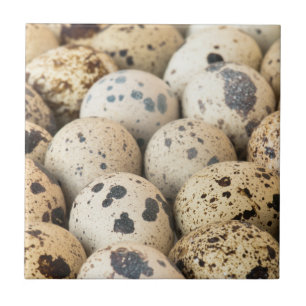 Quail Eggs Tile