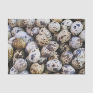 Quail Eggs Tissue Paper