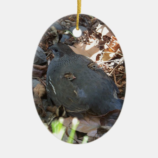 Quail Family Ceramic Ornament (Front)