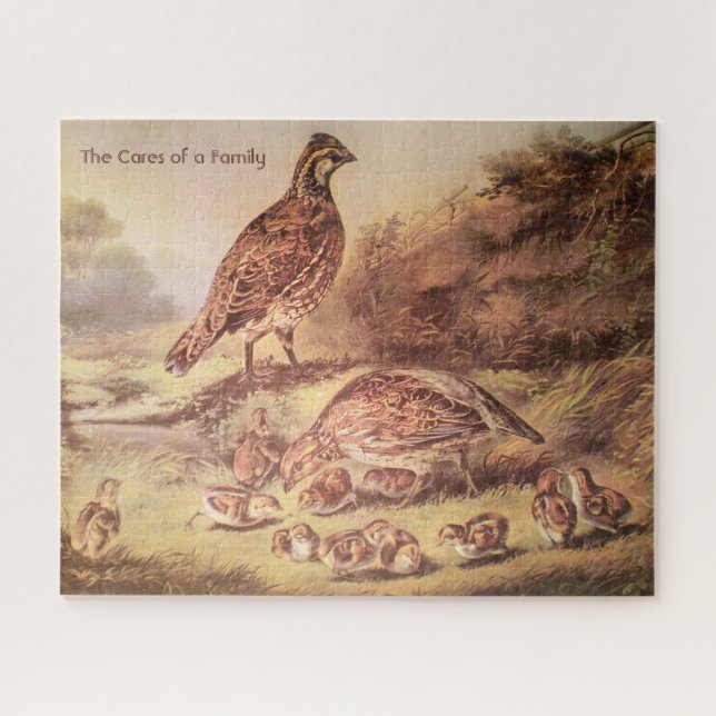 Quail Family Large Puzzle (500 pieces) (Horizontal)