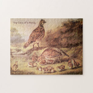 Quail Family Medium Puzzle (250 pièces)