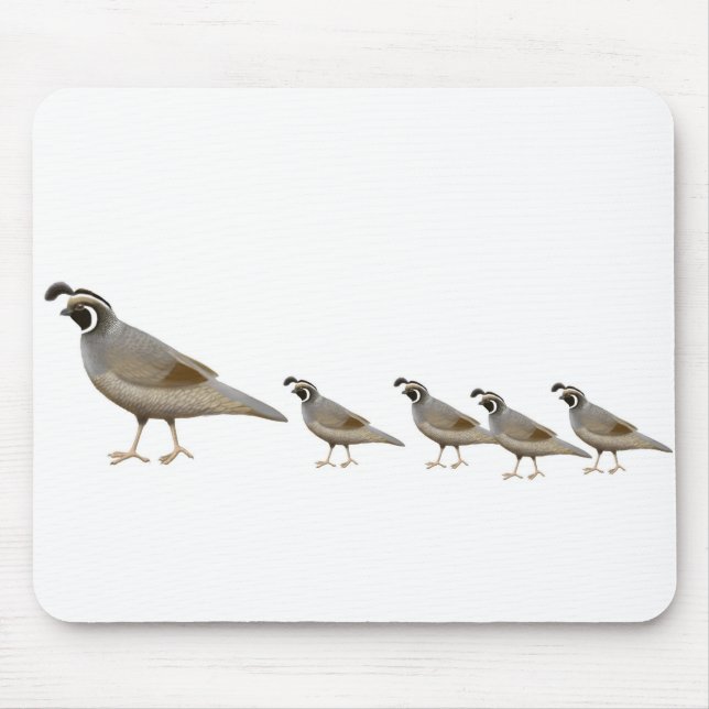 Quail Family Mousepad (Front)