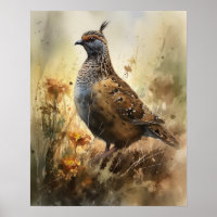 Quail Farm Animal Art Imprimer Poster