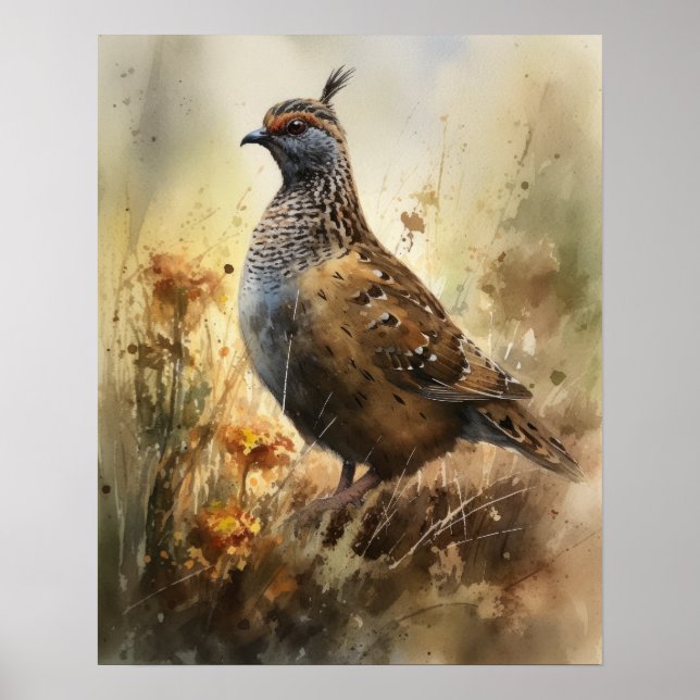 Quail Farm Animal Art Print Poster (Front)