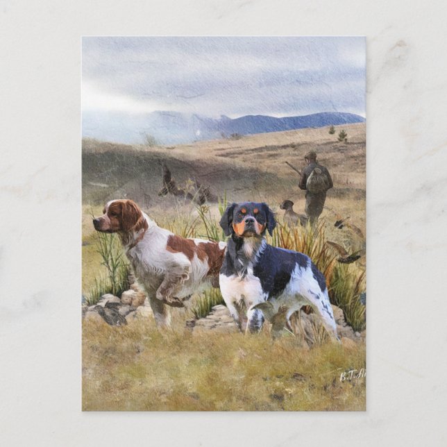 Quail Hunting with a Brittany Spaniels, Art  Postcard (Front)