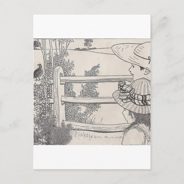 Quail on A Rail Postcard (Front)