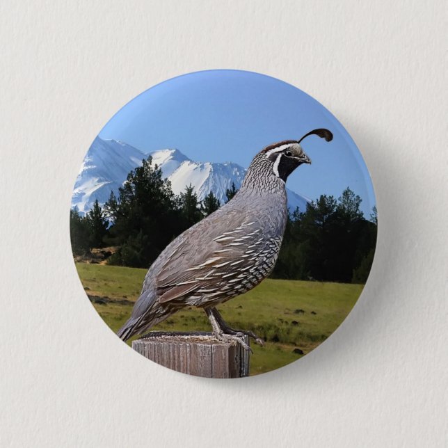 QUAIL ON DREAM POINT 2 INCH ROUND BUTTON (Front)