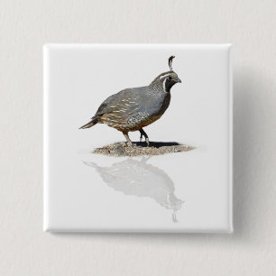 QUAIL REFLECTED 2 INCH SQUARE BUTTON