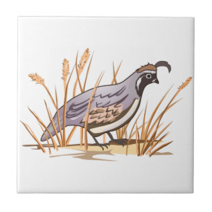Quail Tile