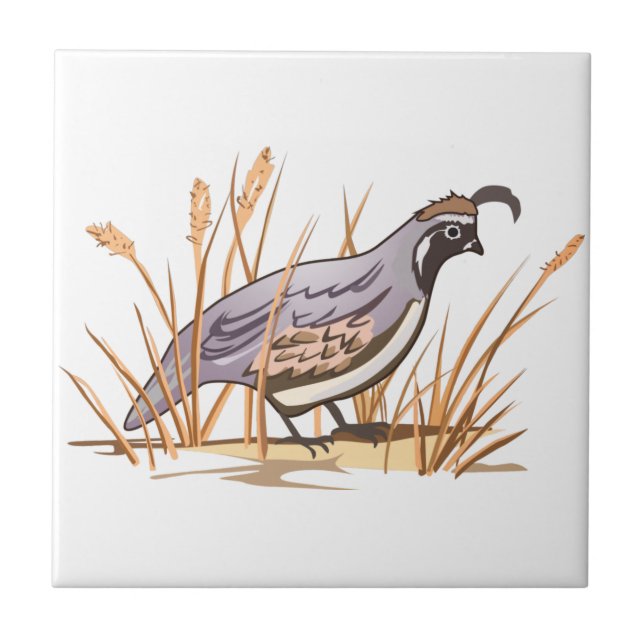 Quail Tile (Front)