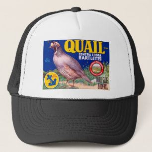 Quail Trucker Hat