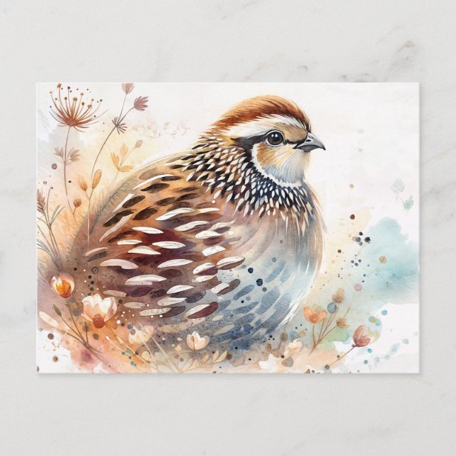 Quail Watercolor Botanical Postcard (Front)