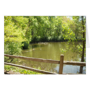 quaint bridge