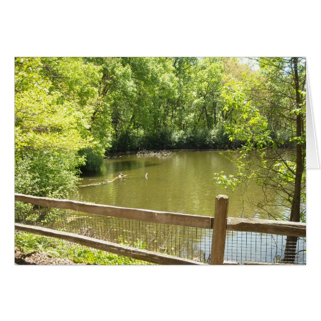 quaint bridge (Front Horizontal)