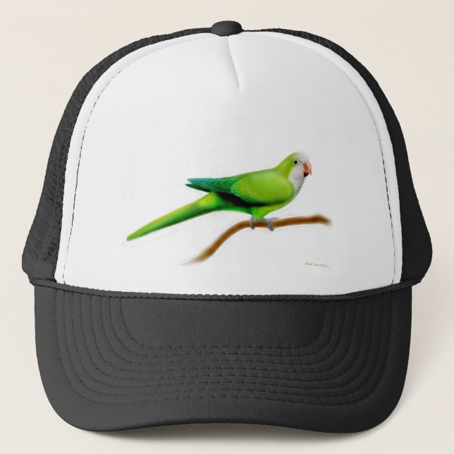 Quaker Parrot Hat (Front)