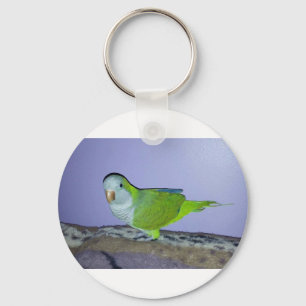Quaker Parrot Keychain