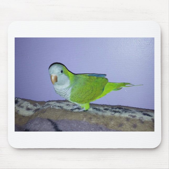 Quaker Parrot Mouse Pad (Front)