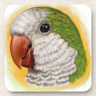 Quaker parrot realistic painting coaster