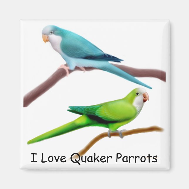 Quaker Parrots Magnet (Front)