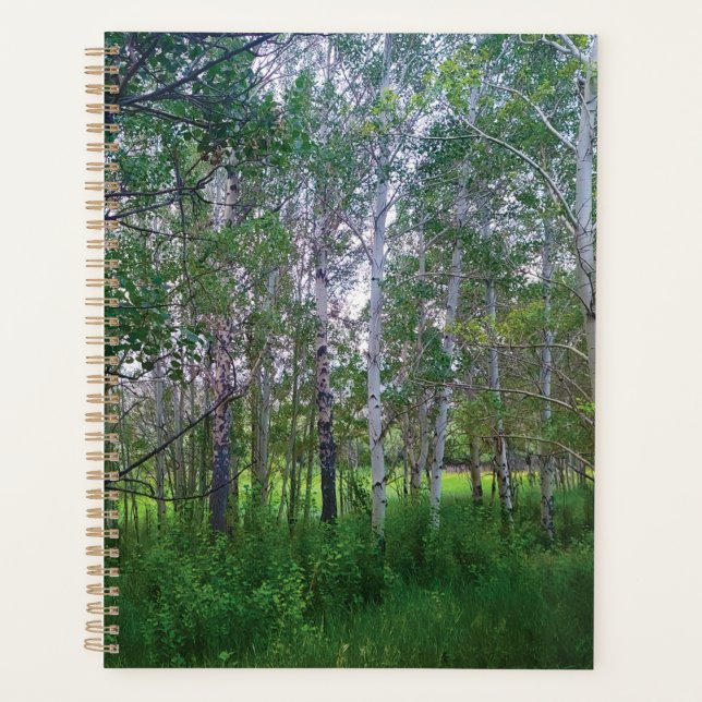 Quakies Planner (Front)