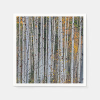 Quaking Aspen in Autumn 