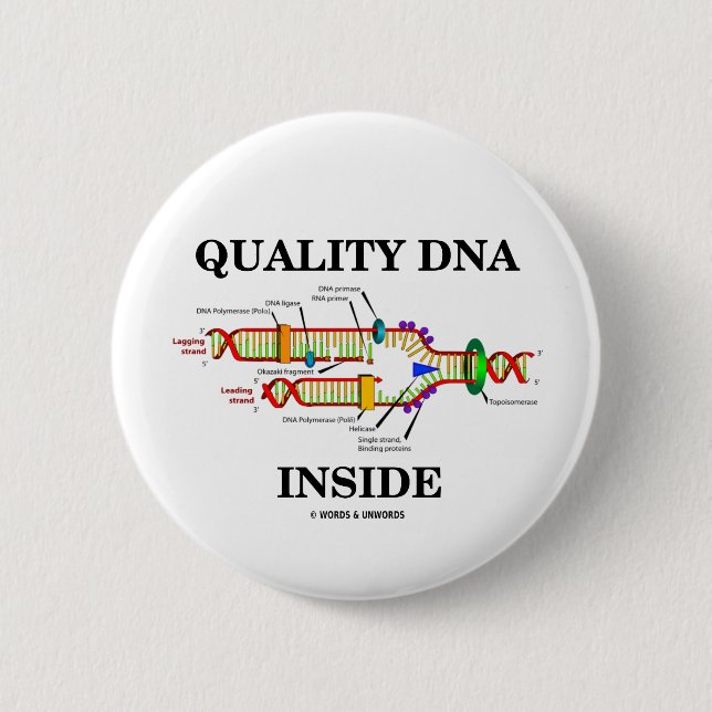 Quality DNA Inside (DNA Replication) 2 Inch Round Button (Front)