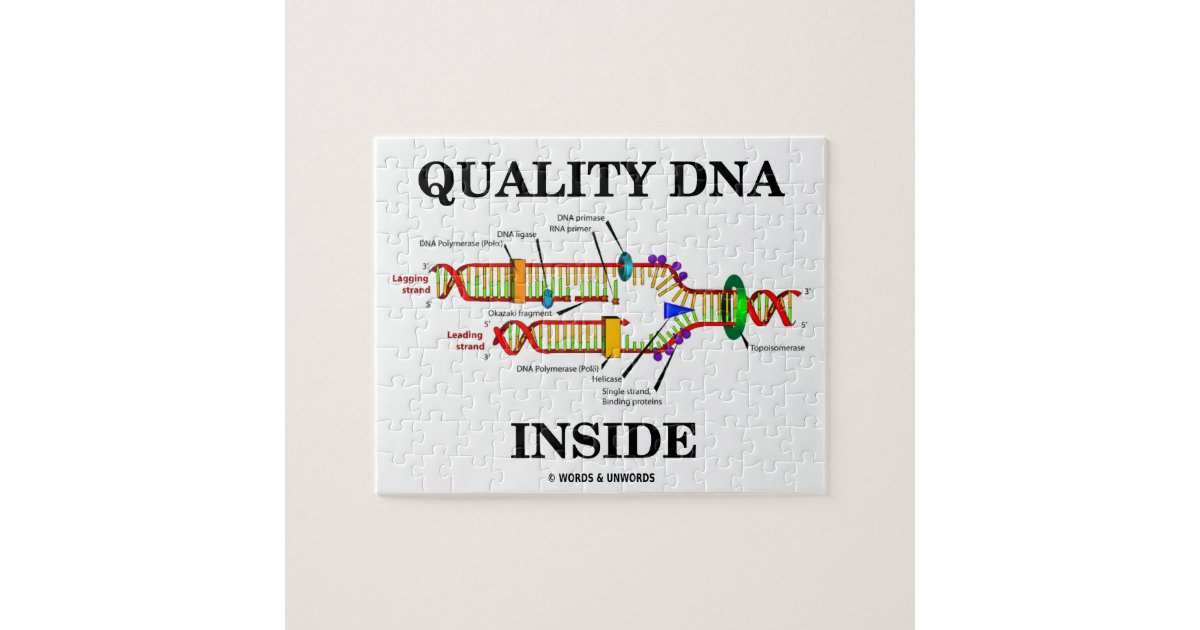 Quality DNA Inside (DNA Replication) Jigsaw Puzzle | Zazzle