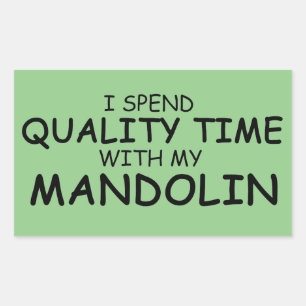 Quality Time Mandolin Rectangular Sticker