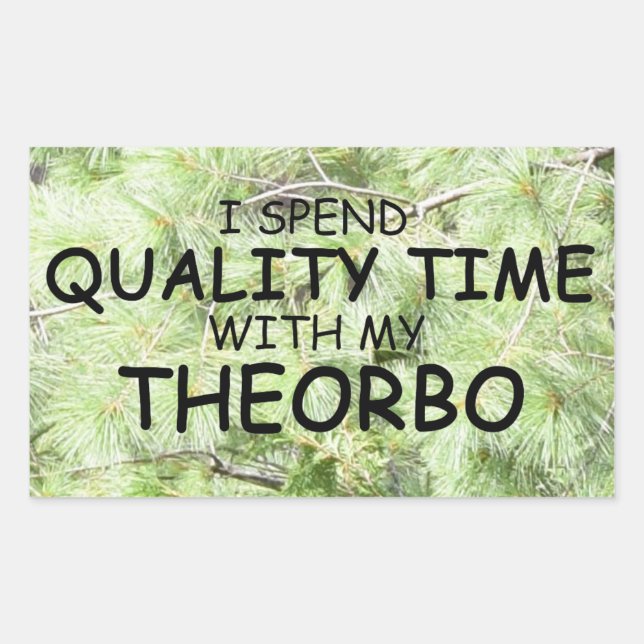Quality Time Theorbo Rectangular Sticker (Front)