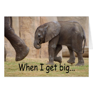 Quand je deviens grand…