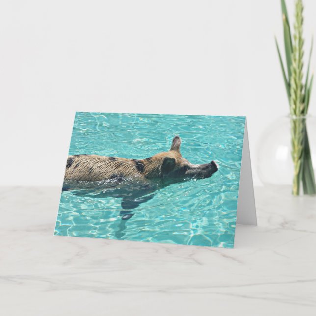 Quand les porcs nagent Carte de voeux (Devant)