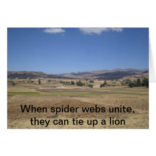 Quand les toiles d'araignée unissent, elles