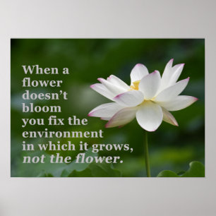 Quand une affiche de fleur ne fleurit pas
