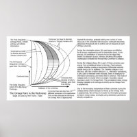 Quantum Mechanics Multiverse Omega Point Diagram