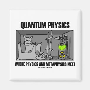 Quantum Physics Where Physics And Metaphysics Meet Magnet