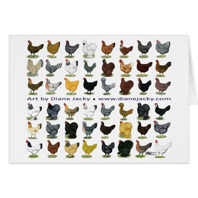 Quarante-huit promos de poule (Devant Horizontal)