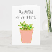 Quarantine Succs Without you Succulent