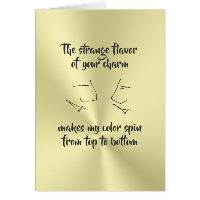 Quark fun for science and physics geeks (Front)