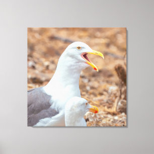 Quarrel canvas print