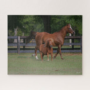 Quarter Horse and Miniature Together Jigsaw Puzzle