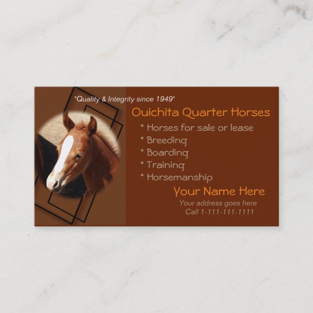 Quarter Horse & Colt Business Cards-1-customize Business Card (Front)