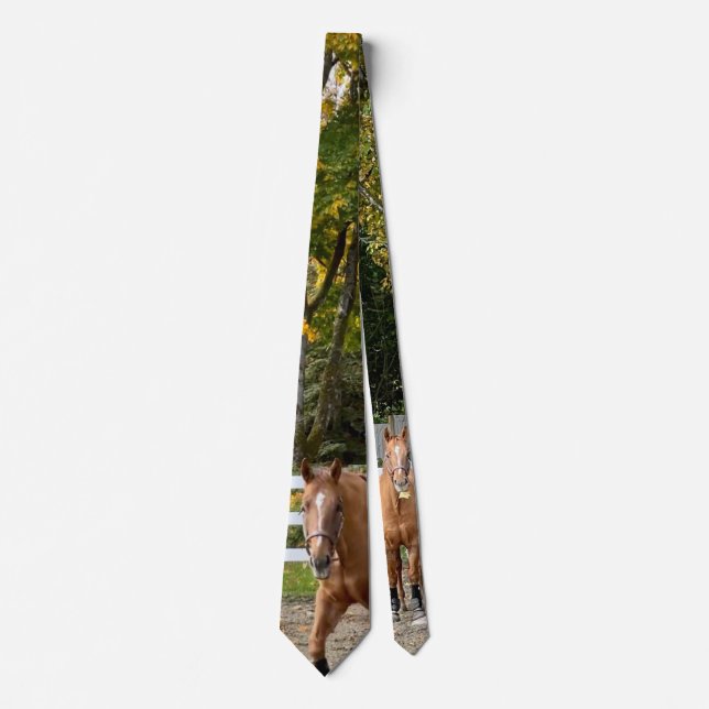 Quarter Horse Cravate hommes (Devant)