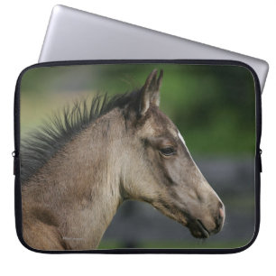 Quarter Horse Foal Headshot Laptop Sleeve