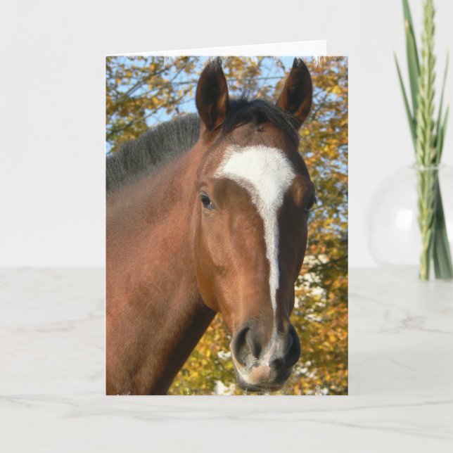 Quarter Horse Greeting Card (Front)