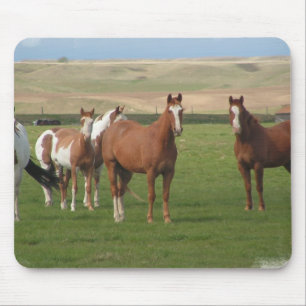 Quarter Horse Herd Mouse Pad
